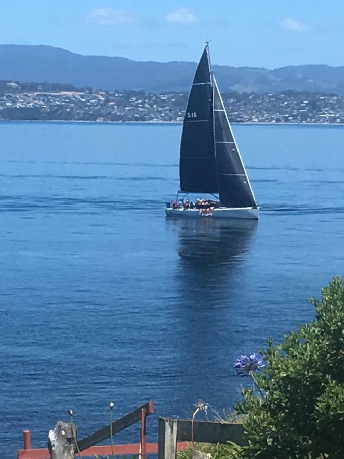Beach Buoy Opossum Bay South Arm Extérieur photo
